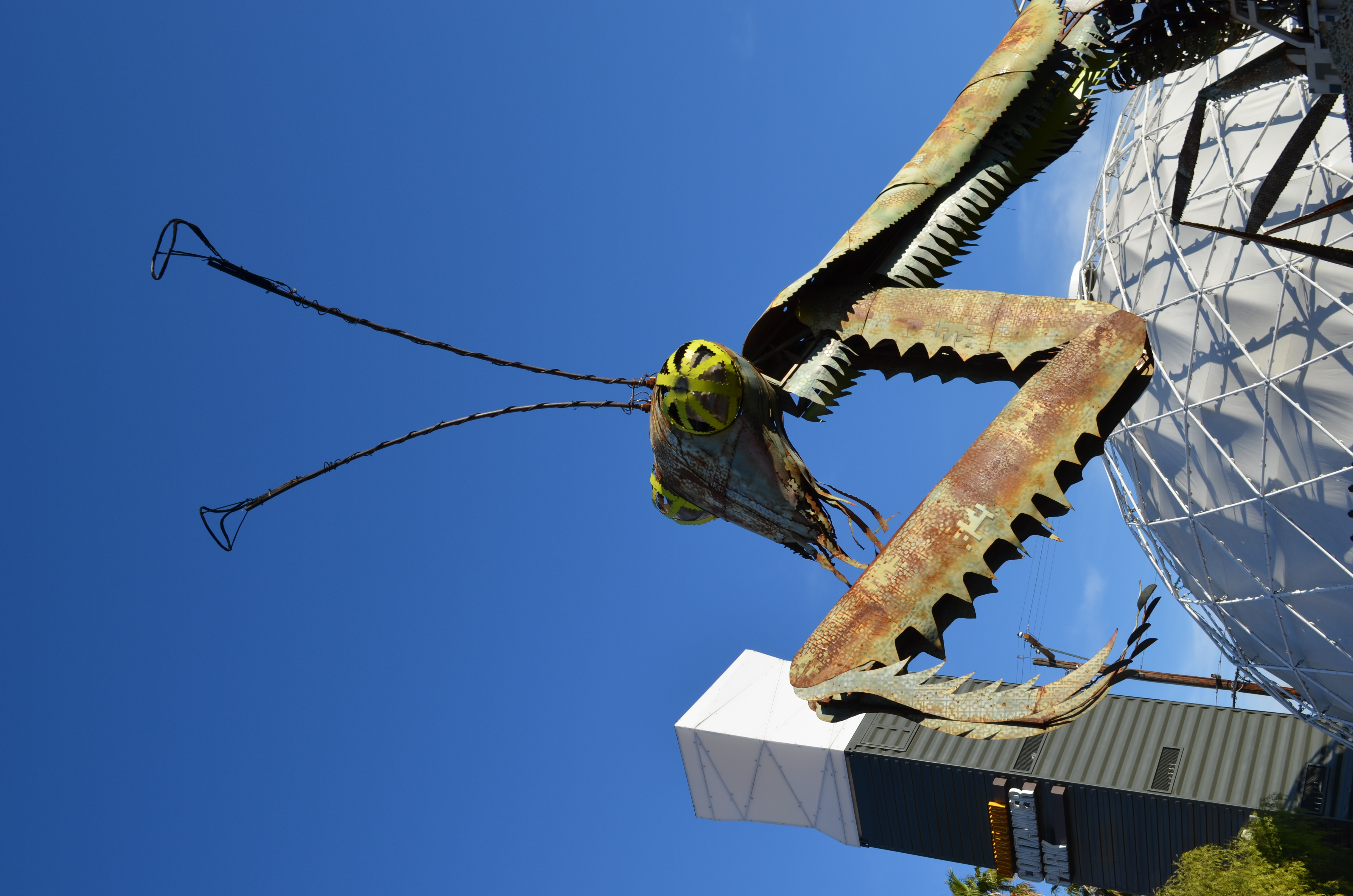 ./2016/04 - Las Vegas/Fremont Experience/DSC_0736.JPG